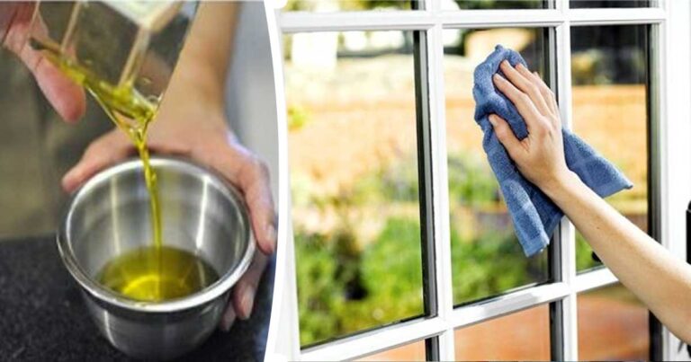 Perchè molte persone stanno spargendo l’olio d’oliva sui vetri? Il motivo è geniale